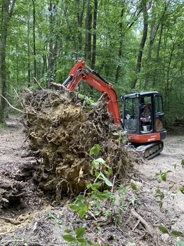 Orange excavator clearing brush and roots from wooded land